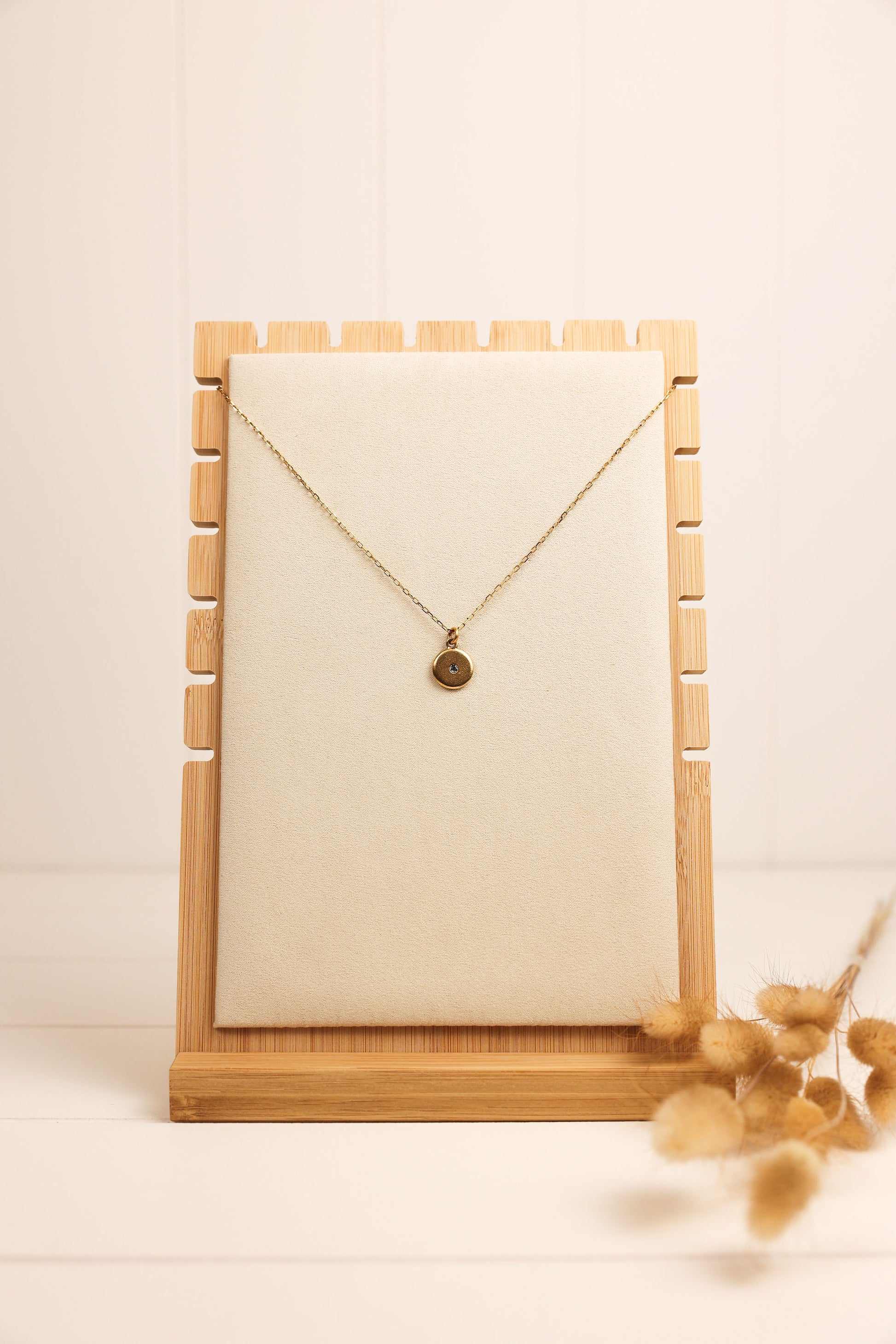 A crystal disc necklace with a tiny clear crystal in the center, displayed on a textured grey background, alongside a pair of dry reeds. The necklace is available in gold and silver colors.