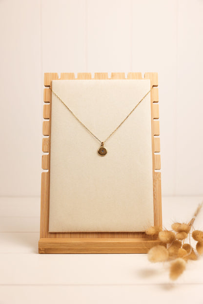 A crystal disc necklace with a tiny clear crystal in the center, displayed on a textured grey background, alongside a pair of dry reeds. The necklace is available in gold and silver colors.